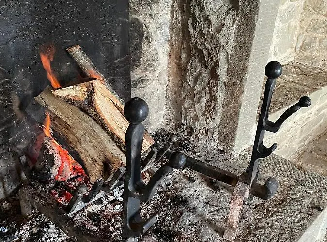 Gosparini فيلة *